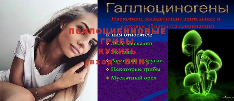 Псилоцибиновые грибы мухоморы  Ипатово 